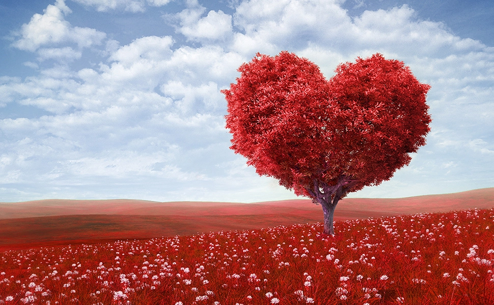 Ne zamudi utripa – naj tvoje srce ostane zdravo XXX