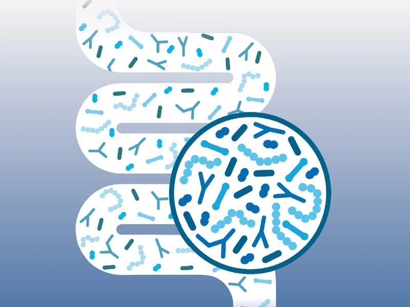 Ko črevesje potrebuje ravnovesje XXX